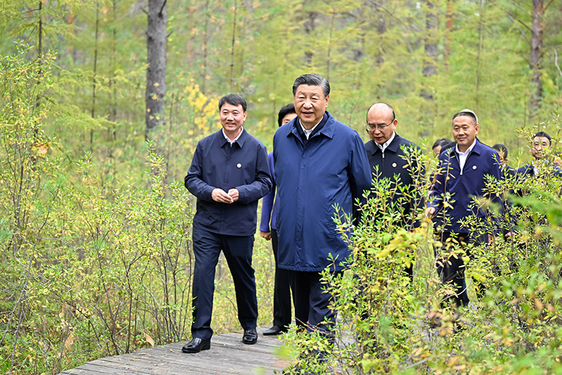 9月6日至8日，中共中央總書記、國家主席、中央軍委主席習(xí)近平在黑龍江考察。這是6日下午，習(xí)近平在大興安嶺地區(qū)漠河市漠河林場自然林區(qū)考察